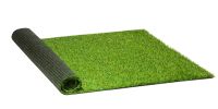 Fake grass.  A popular outdoor carpet.