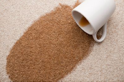 Why Carpet Spots Come Back